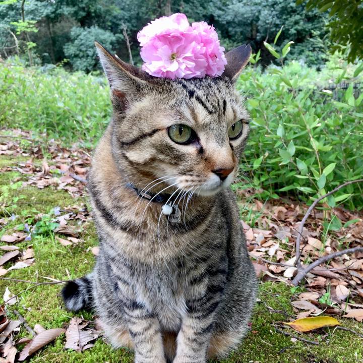 B1c868d9 f43f 4372 8014 a2c2679c93e0 1523092960452