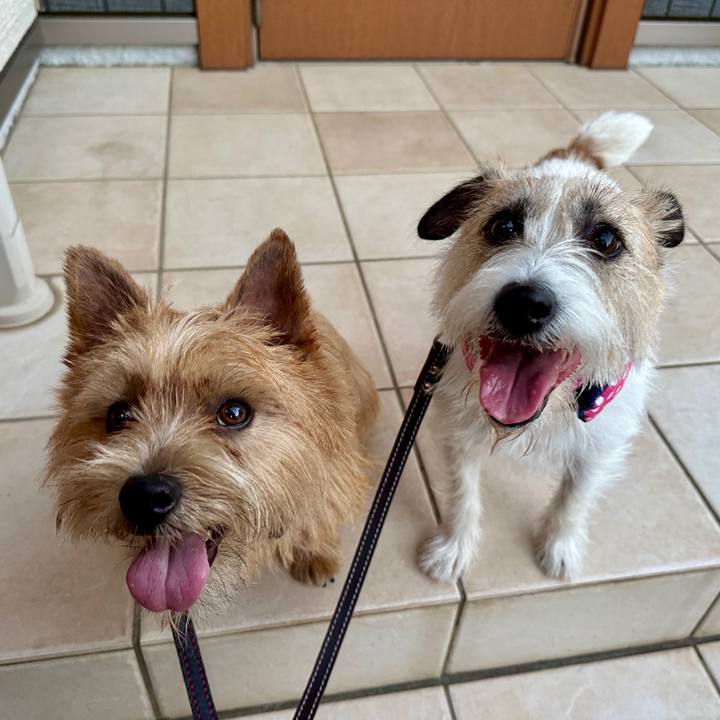 B1c8a1b3 9566 47aa 9278 947a0af217b2 1750246043403