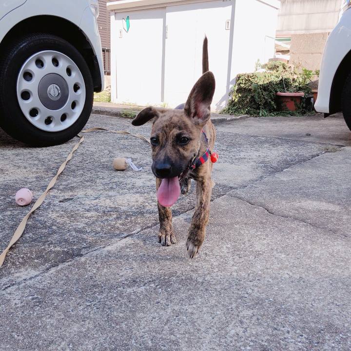 B1c8aca0 28e1 47ee 9d9b 5e79ce490374 1568296815341