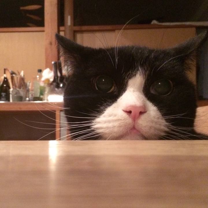 B1c8d30a d670 4f65 a22b a1509933279c 1513378743374