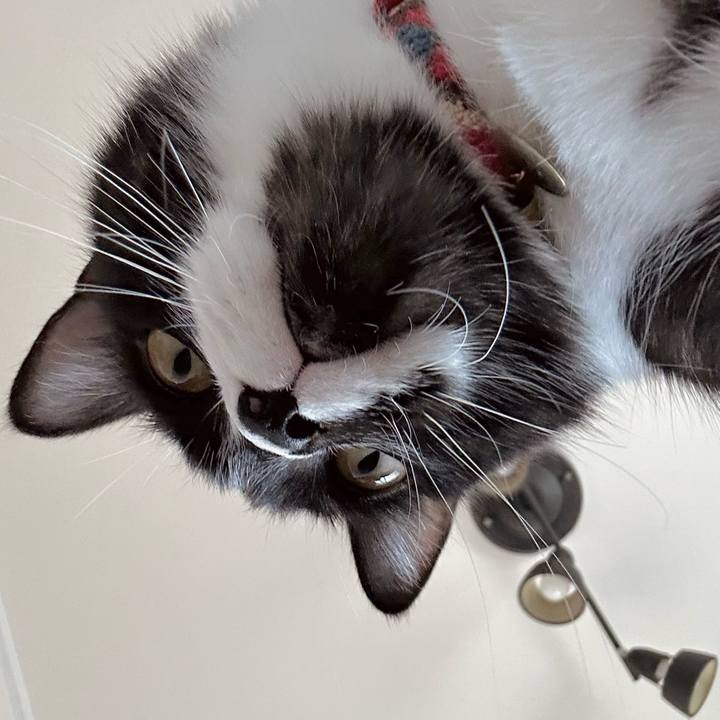 B1c8dc80 b787 4d3a b428 84aa5e8a001d 1754103721849