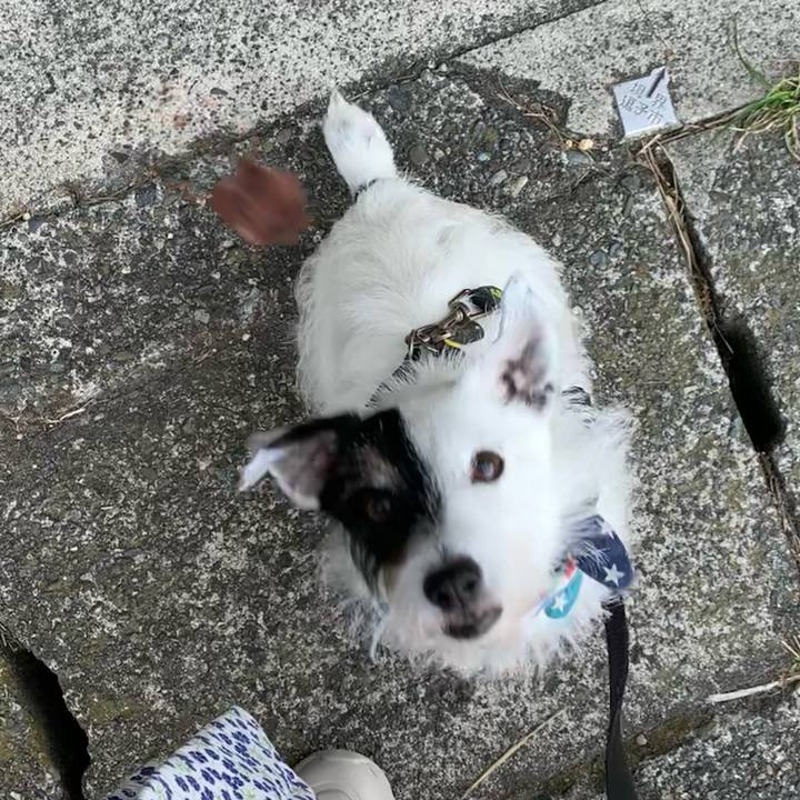 B1c91df2 c76c 4934 b567 eeeffce2a0a7 1754608496775