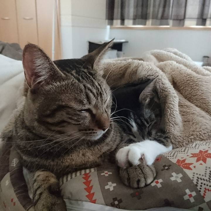 B1c999be dfe8 4340 931f 2d6e24a77ce6 1508584133577