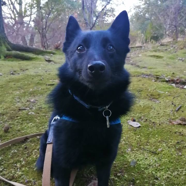 B1c9a7cb a96f 4b4e 8189 57636bd99450 1611785164605