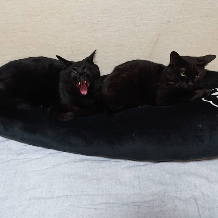 B1ca0d71 a3b1 46a4 b847 f3abac4db469 1632486743062