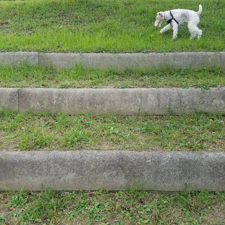 B1ca0ea9 ccb2 4e00 ac06 e8430b475796 1543133811780