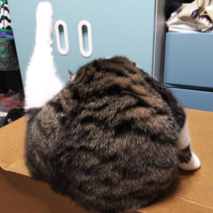 B1ca222b 92b8 4893 b7bf 83821cdf8bcb 1630404737079