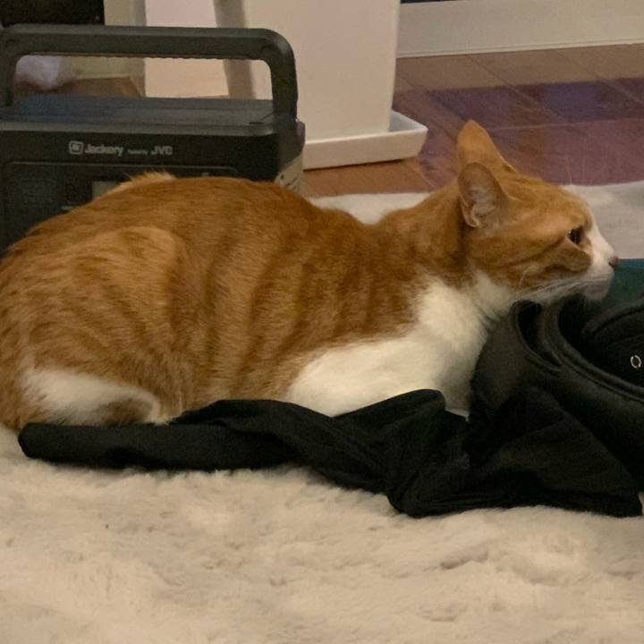 B1ca7e72 001b 489f 869a 0099e79458ef 1622456428618