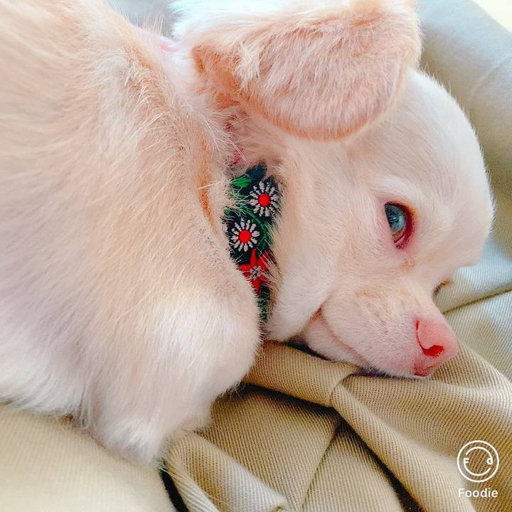 B1caa866 b68a 423a 8efc b724ee972fc0 1629375490581