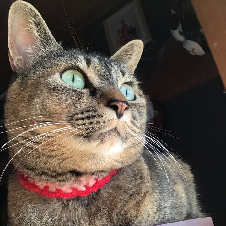 B1caecc0 2a83 4d9c 9676 fe5c67f4fe3a 1680599247333