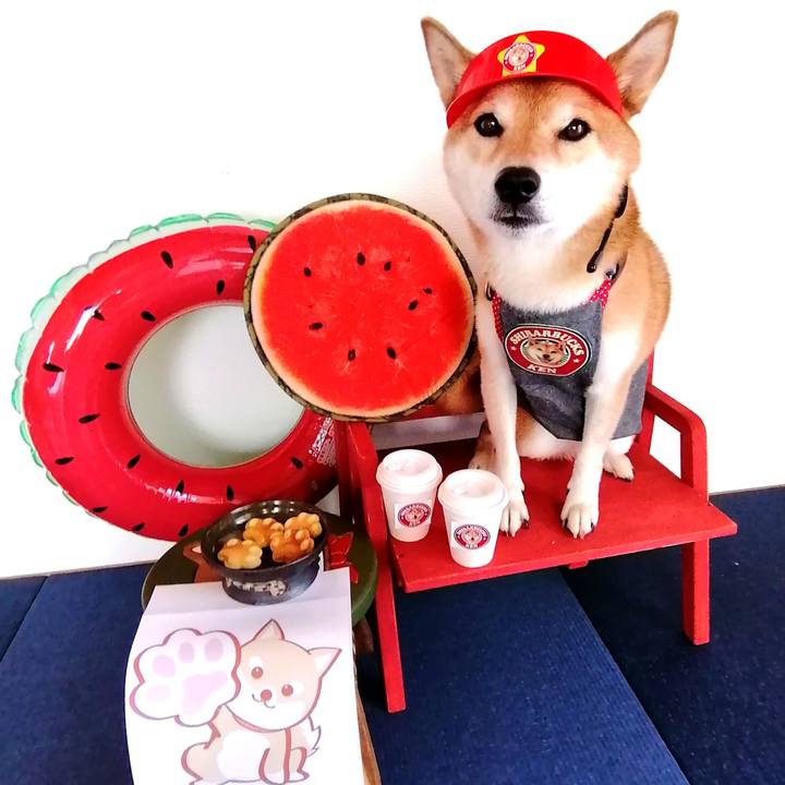 B1cb1850 4877 487f ae2e 1c5916ccb907 1691821804663