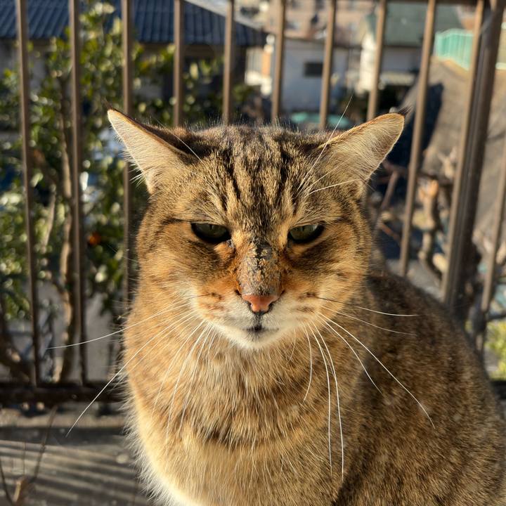 B1cb26d6 c4f2 47da 9cf9 65d3a300577f 1771468446535