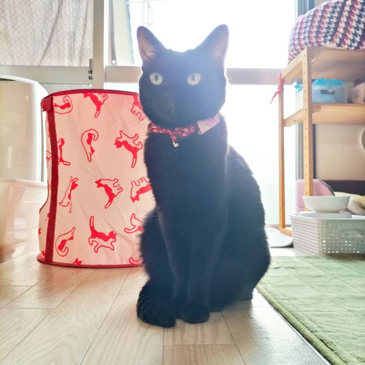 B1cb36dd 88f4 4092 9978 81719cad8434 1664922645060