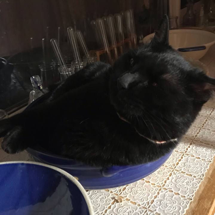 B1cb725c 4261 46a4 81cb 750637585e9b 1606641341144