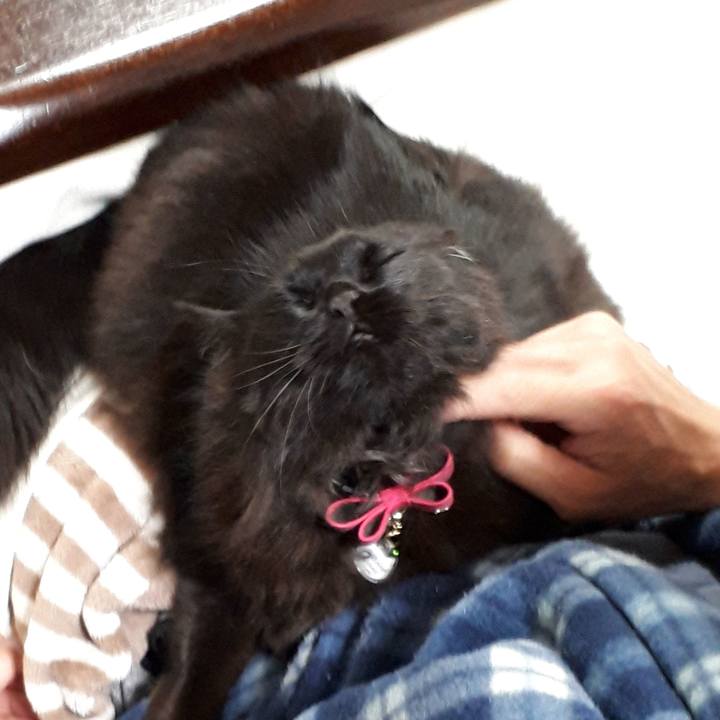 B1cb7aac 00e8 493d 9760 ce994792f8a1 1519383754105