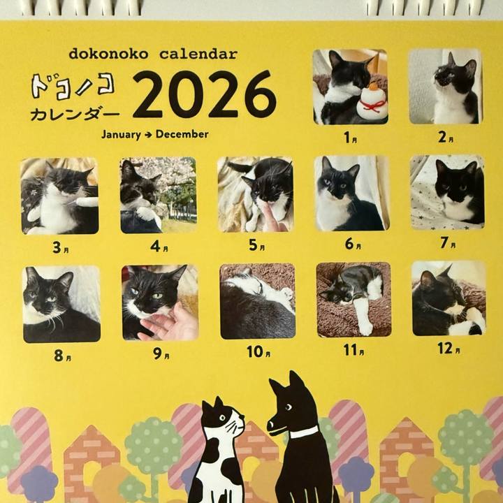 B1cbbc5c 56d1 43bb b160 8d5005437bf2 1769603420992