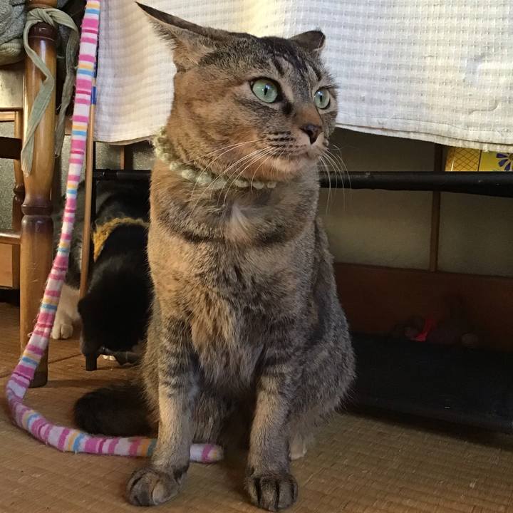 B1cbdaeb 2803 4648 a032 2c7a4da3381a 1645775026207