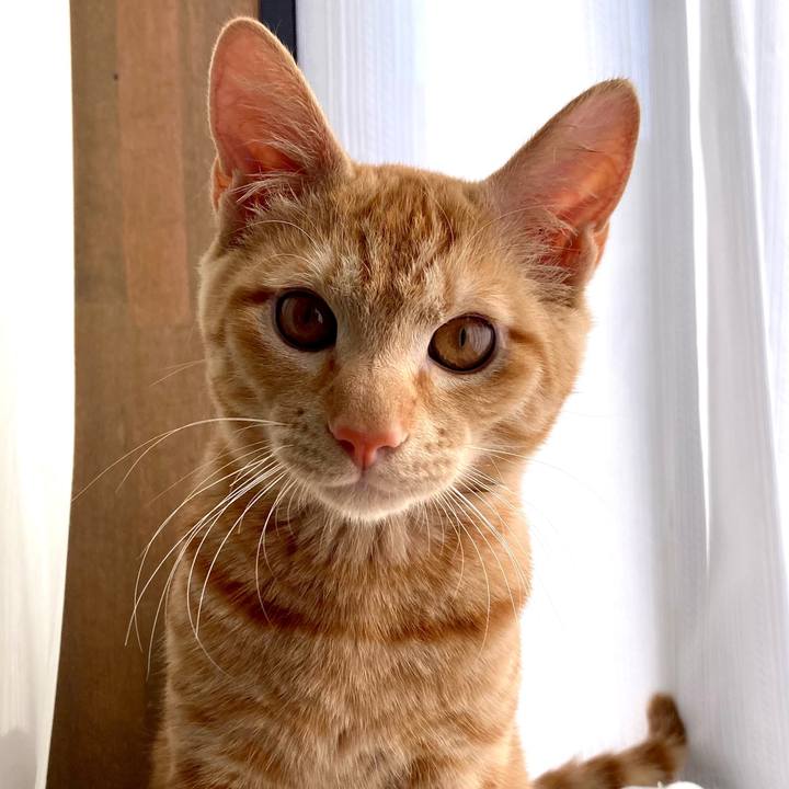 B1cbf229 dc8e 4343 9edd 0f64e502cacc 1638001472229