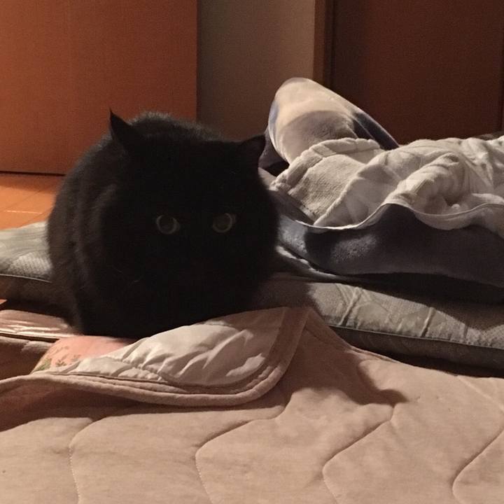 B1cc004a 582f 4a6e bd3b 4196b1d7f511 1542653708400