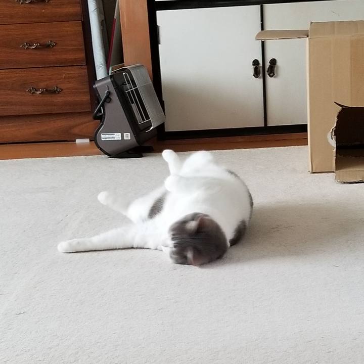 B1cc04dc 53bc 49e1 b617 4441e669b10f 1591139657239