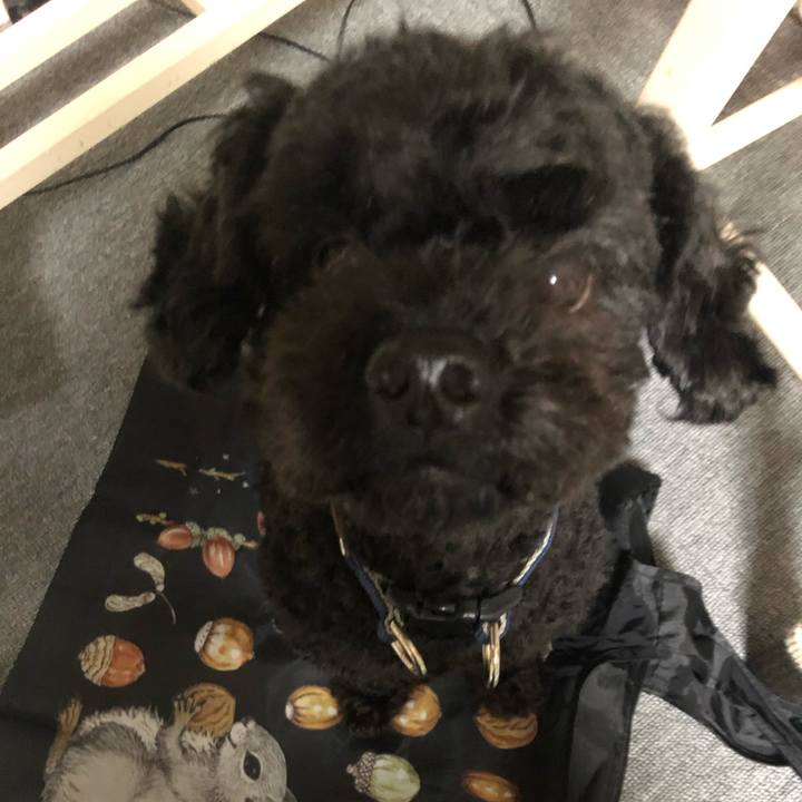 B1cc20f7 3b2a 4290 9322 190921774ddb 1596792839484