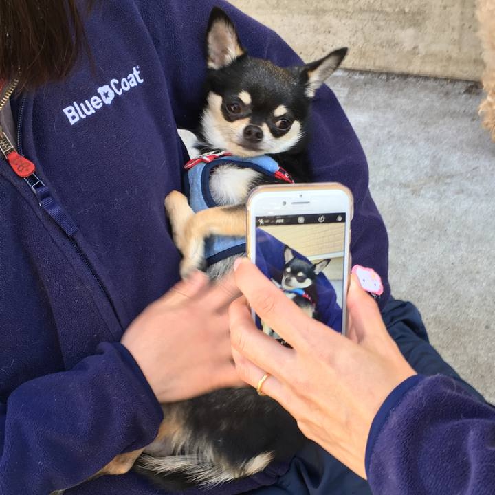 B1cc3bff 2cc7 44fc ae2a e7f1a040fd48 1517568680970