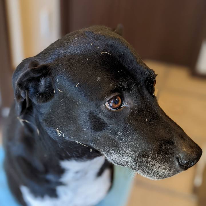 B1cc600b 25bf 4ee9 95e8 1f88d603416b 1677031119629