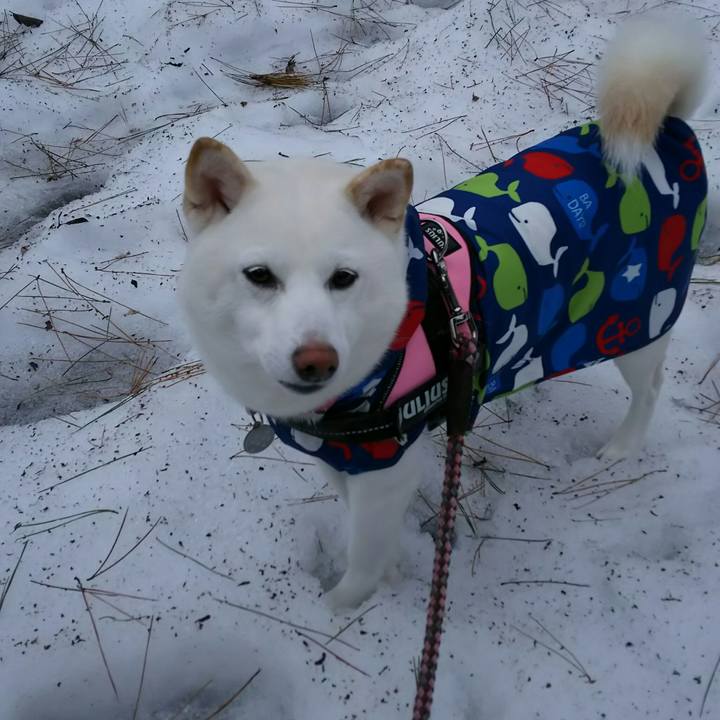 B1cc810b 06b3 476f 9bc5 f5e5c19fac84 1520214057294