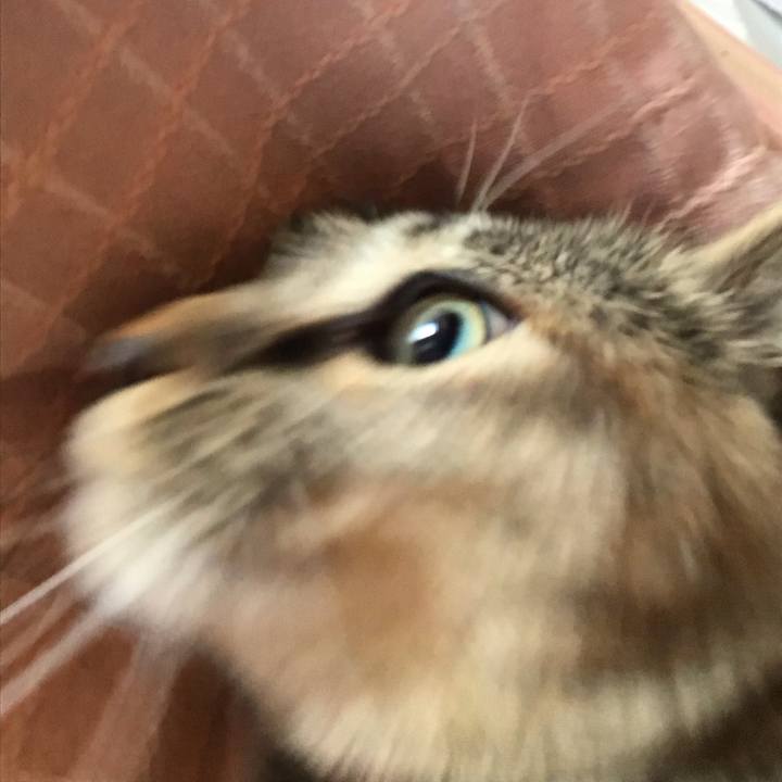 B1cc91a9 1105 49dd 8c42 bad9adafb292 1579582970423