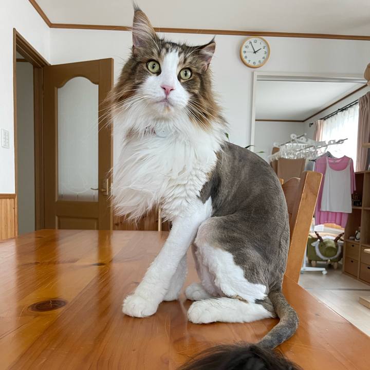 B1cc9f76 1aae 442c 8fc6 73faa0f8680c 1686977963755