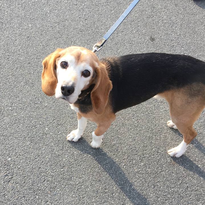 B1ccbca8 e4c7 4542 a645 80a6a3de1838 1550400125030