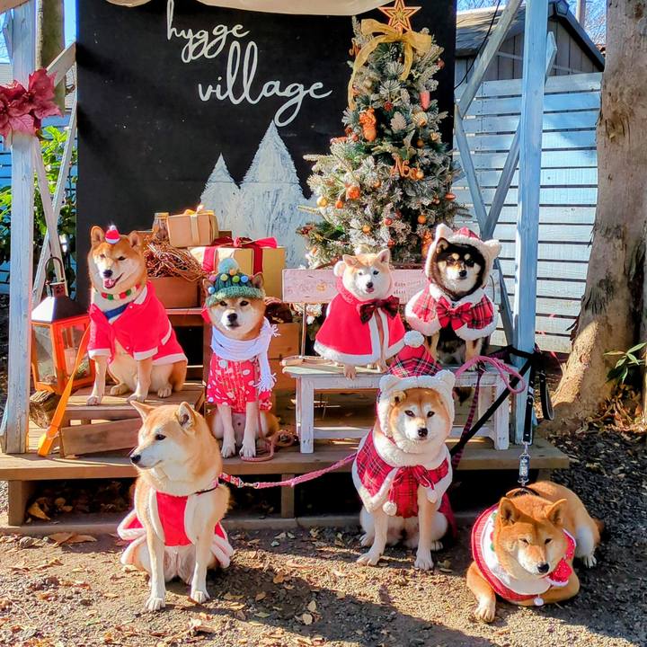 B1ccc4f0 257b 4183 b073 d916b69789d1 1764994128901