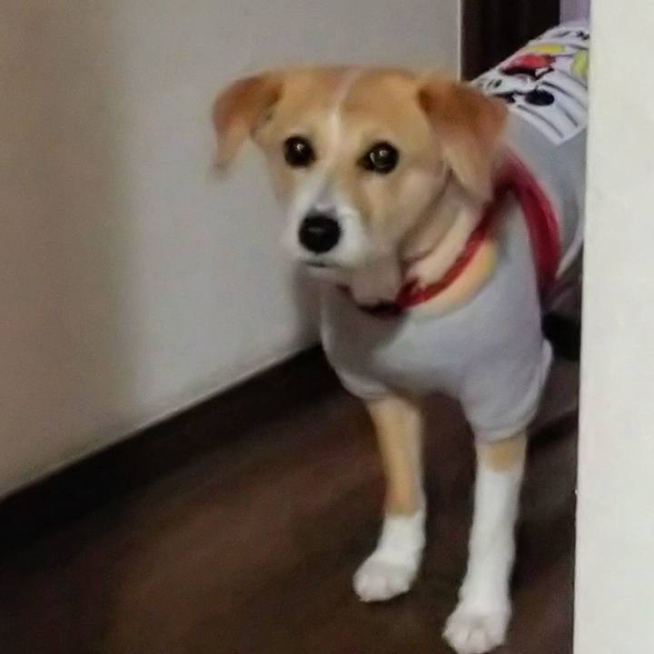 B1ccd368 9ba7 4bc2 a277 cd4813d2d9af 1551688058267