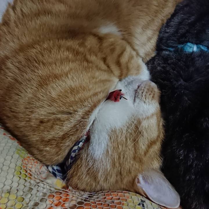 B1ccec7b 620a 4f2b a931 3e9afec734a9 1575031533141