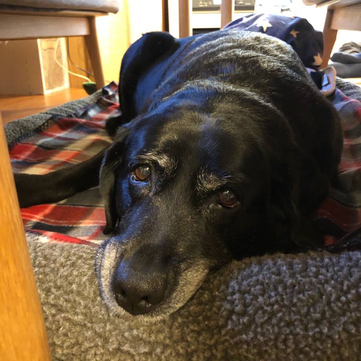 B1ccfc1b b7ec 4c43 8108 0a8786c9be2e 1608162701799