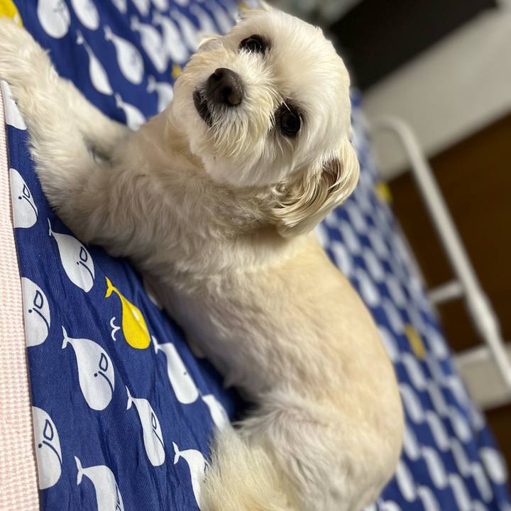 B1cd09a4 5cde 4d13 a4e0 ec1badc56ce6 1661346771971