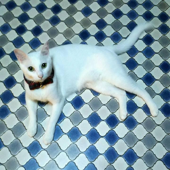 B1cd30b5 f899 4def 9744 a0b5820c95a1 1536579957031