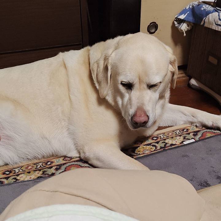 B1cd3114 2f48 4099 99b4 30ecbeaed277 1745376412030