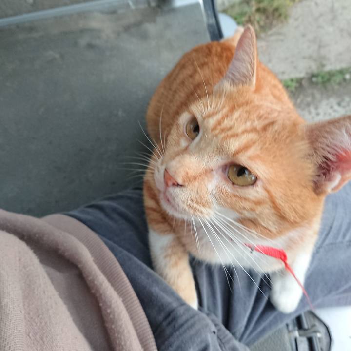 B1cd4286 1b72 42a3 b200 f89b85718772 1569188048038