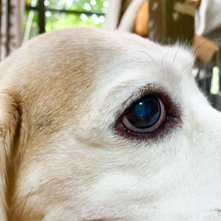 B1cd45a0 a1fb 4f32 b766 e8c12e1b4364 1657006016734