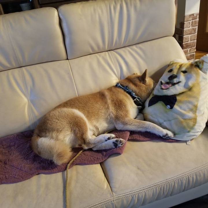 B1cd647a dc08 4c62 b2b8 26458b162c24 1703634848624