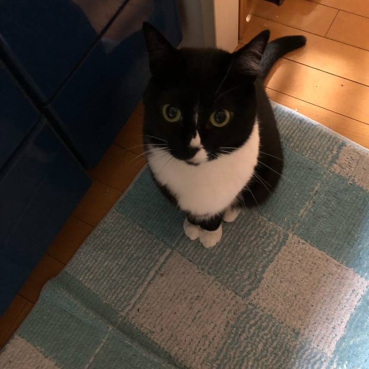 B1cda9d6 c867 42c3 ae51 605569369e7d 1548628136475