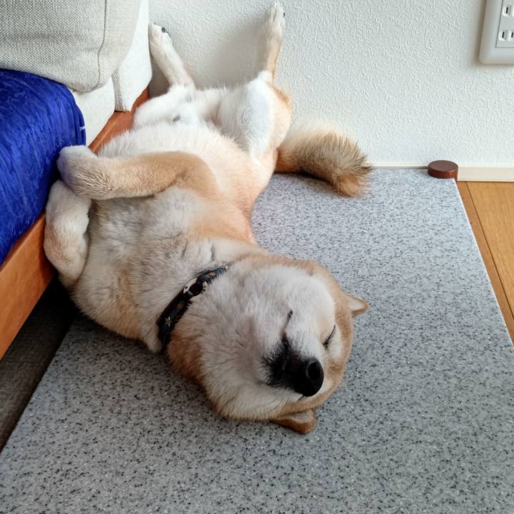 B1cdad01 958b 4799 8447 d1294b03f3ae 1623991475418