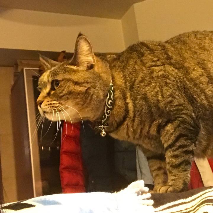 B1cdc962 7513 4157 b28f 7be61282cd5c 1552198394835