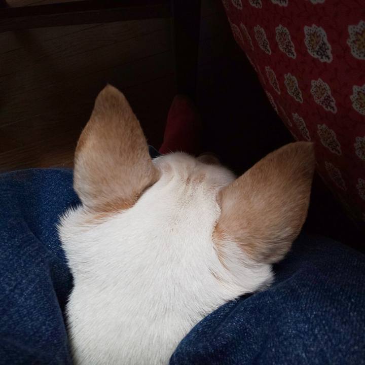 B1cde1dd d176 4108 b212 f6ab4238d60c 1576055791204