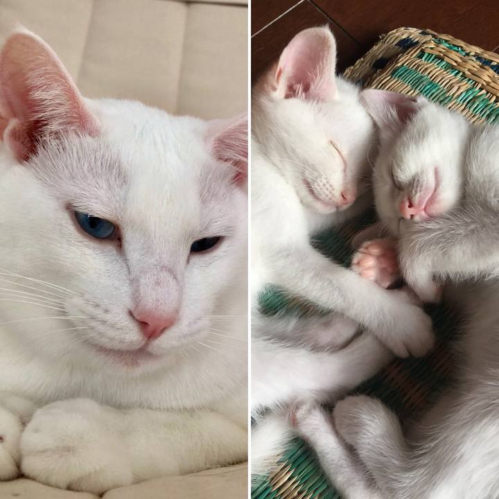 B1cde516 04d8 4ffd a507 6c86a1ff287b 1525647879298