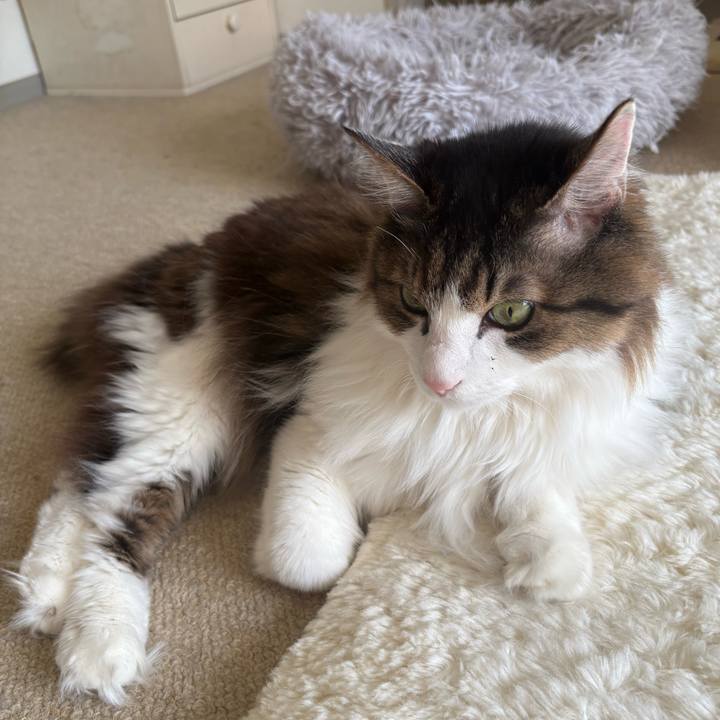 B1ce32ed 7ba2 4c29 bfa0 9c701a7bf202 1768696613251