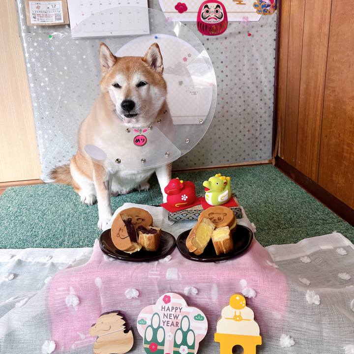 B1ce3820 4ce1 48b0 a35e 006c92442dc2 1704682838722