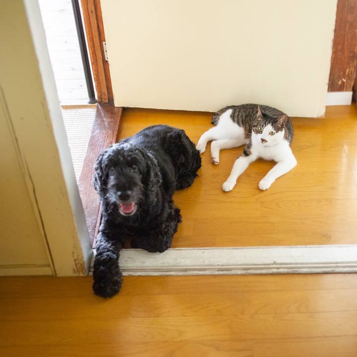 B1ce5848 c2ff 4d57 83a2 9db5d96a31bf 1559875718308