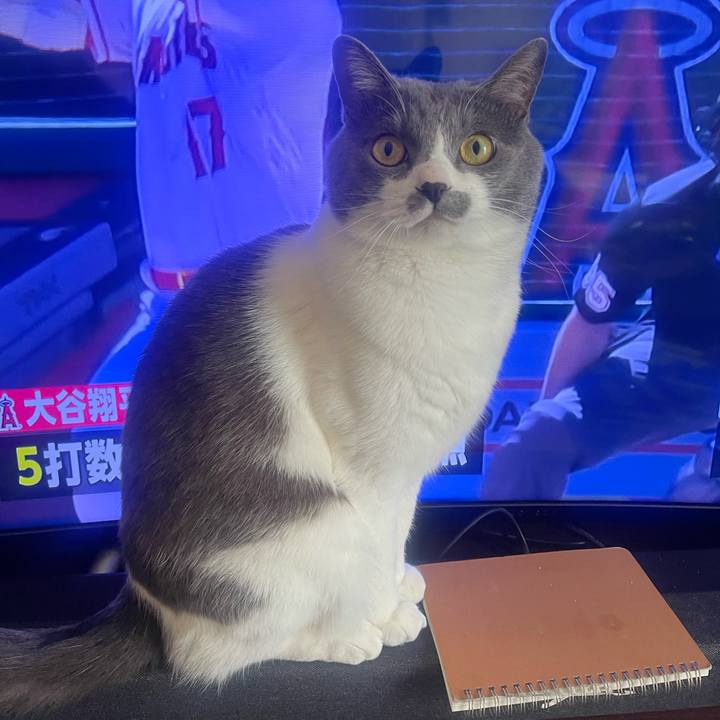 B1ce6f1f 8295 478f a6c6 38fa1d5c3ad0 1681604958175